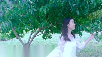 eliz_earn money_endorphina