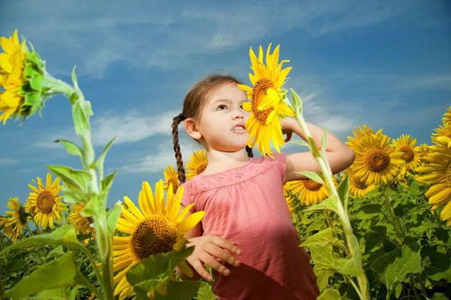 jogos para infantil_jogos onlines navegador_jogos para menina de vestir