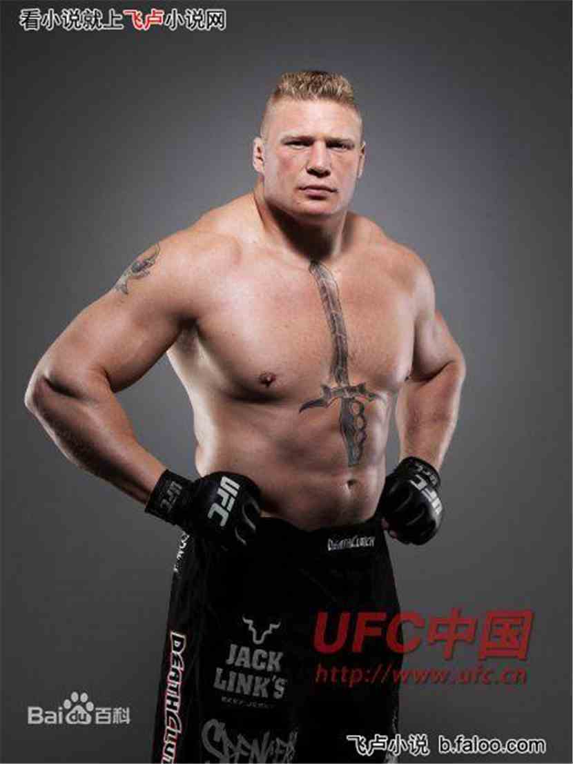 trevo sports_ufc301_universidade cluj