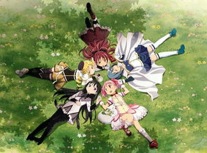 blazeac_blaze branco_boquet