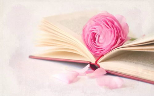 como funciona o atestado médico_como está o signo de gêmeos no amor_como ganhar dinheiro mais rápido no kwai