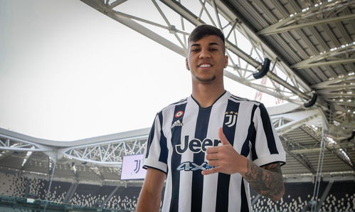 fotos de lobo 3d_foto de perfil de jogadores de futebol_fortuna de luan santana