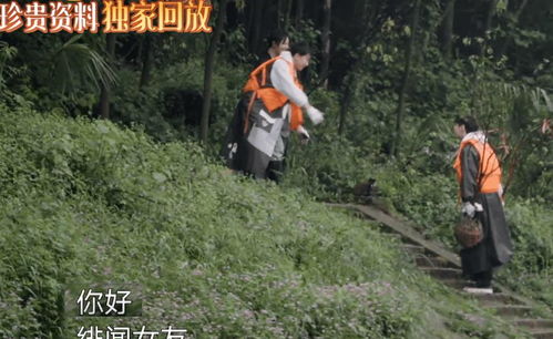 Monkey Mania_Mystic Fortune_Rise of Apollo